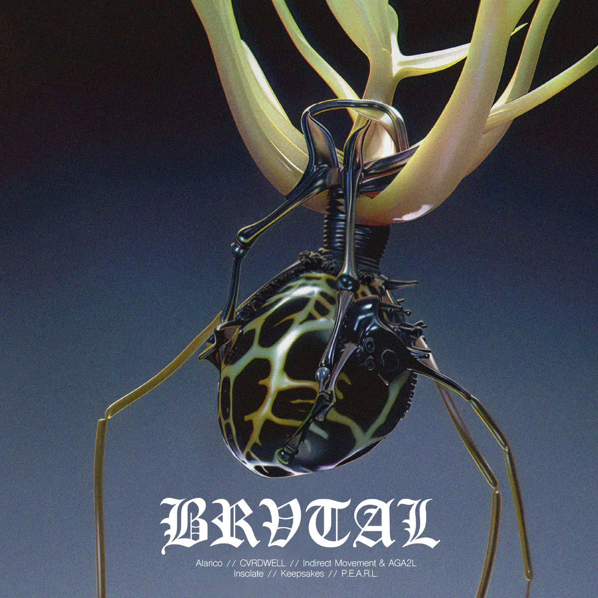 Various Artists - BRV007 [printed sleeve]