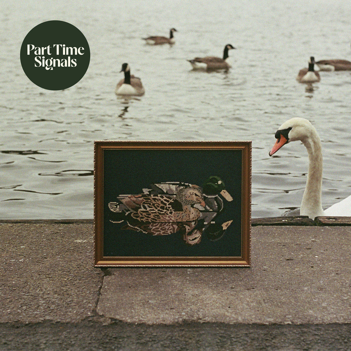 Part Time Signals - Ducks Back, Baby [CD]