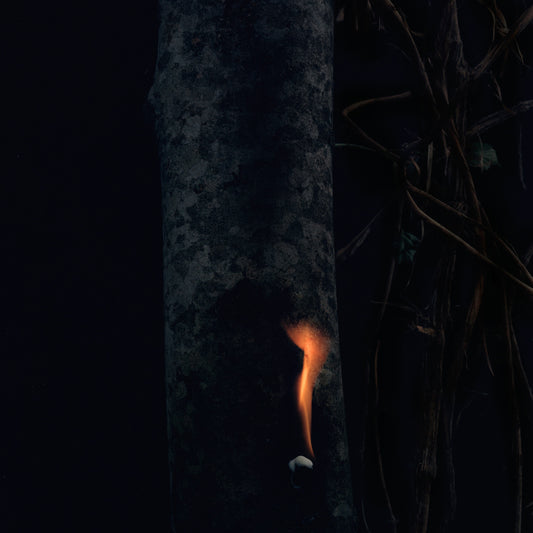 BZDB - JUMP SHIP, SIT LEAN, BE STILL, STAND TALL