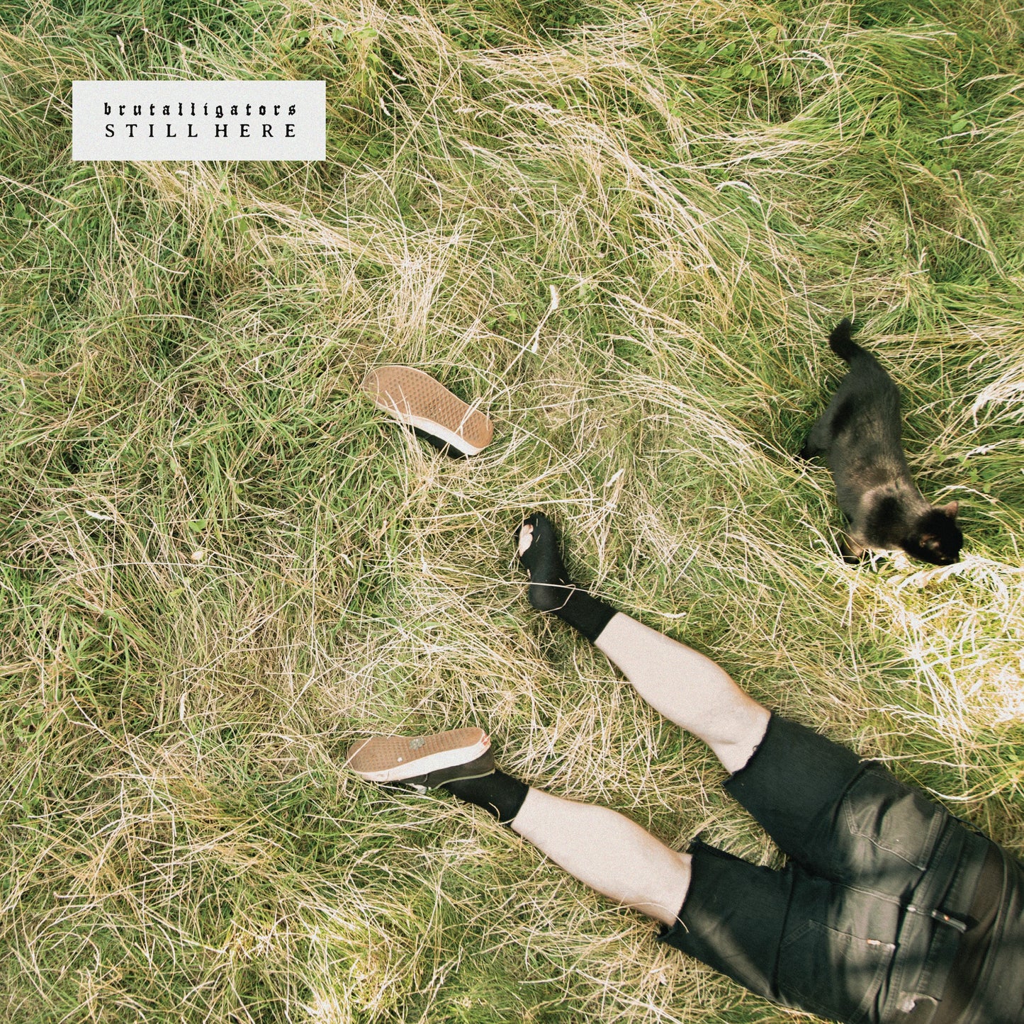 Brutalligators - Still Here [Grassy green marbled vinyl]