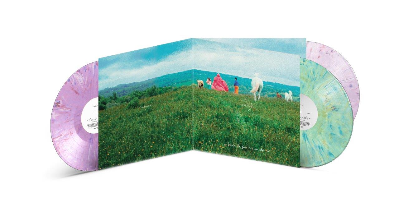 Camille - The Sound Of Milk [3LP  Ecovinyl]