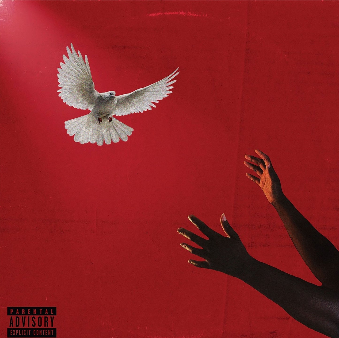 Che Noir - The Last Remnants