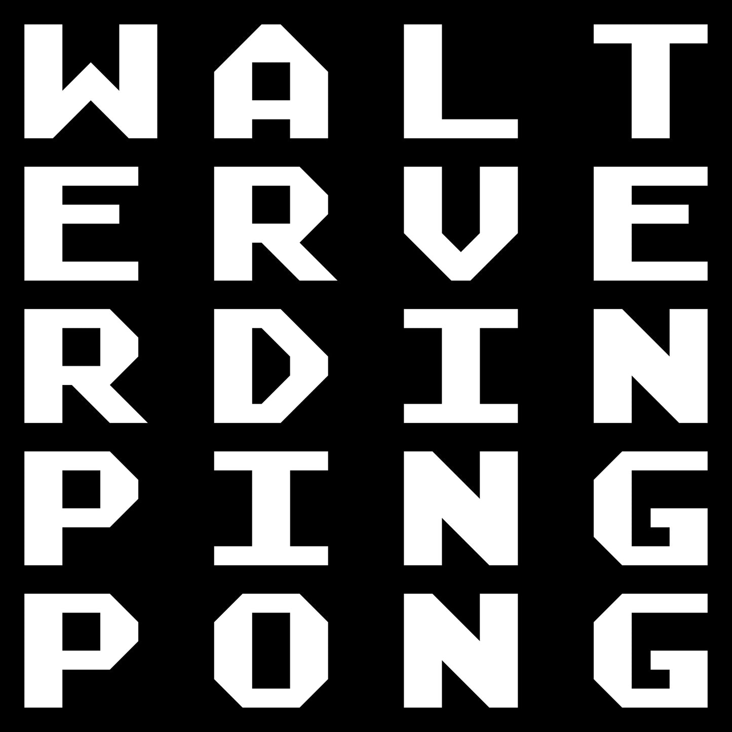 WALTER VERDIN - PINGPONG [2LP]