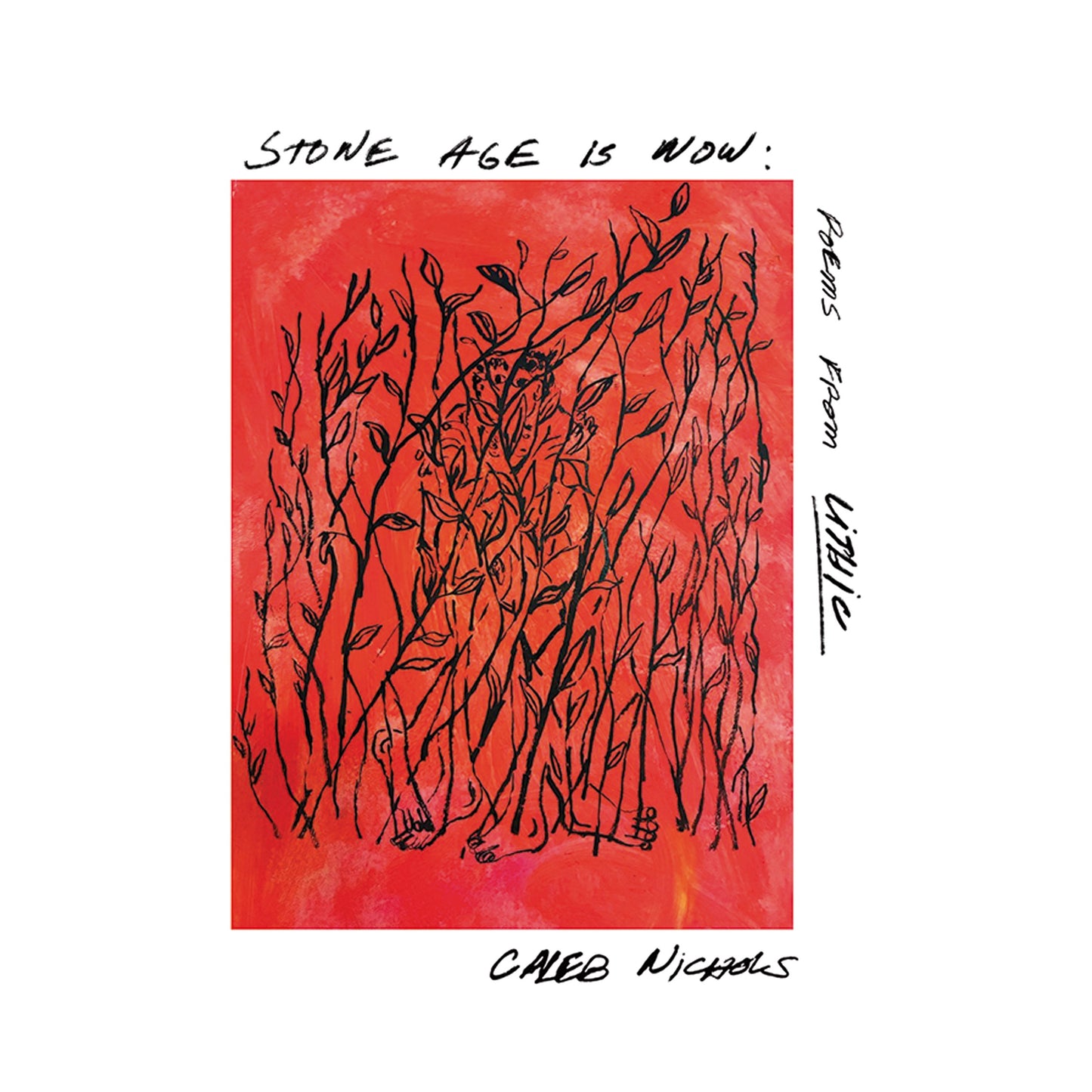 Caleb Nichols - Stone Age Is Now: Poems from Lithic [CD]