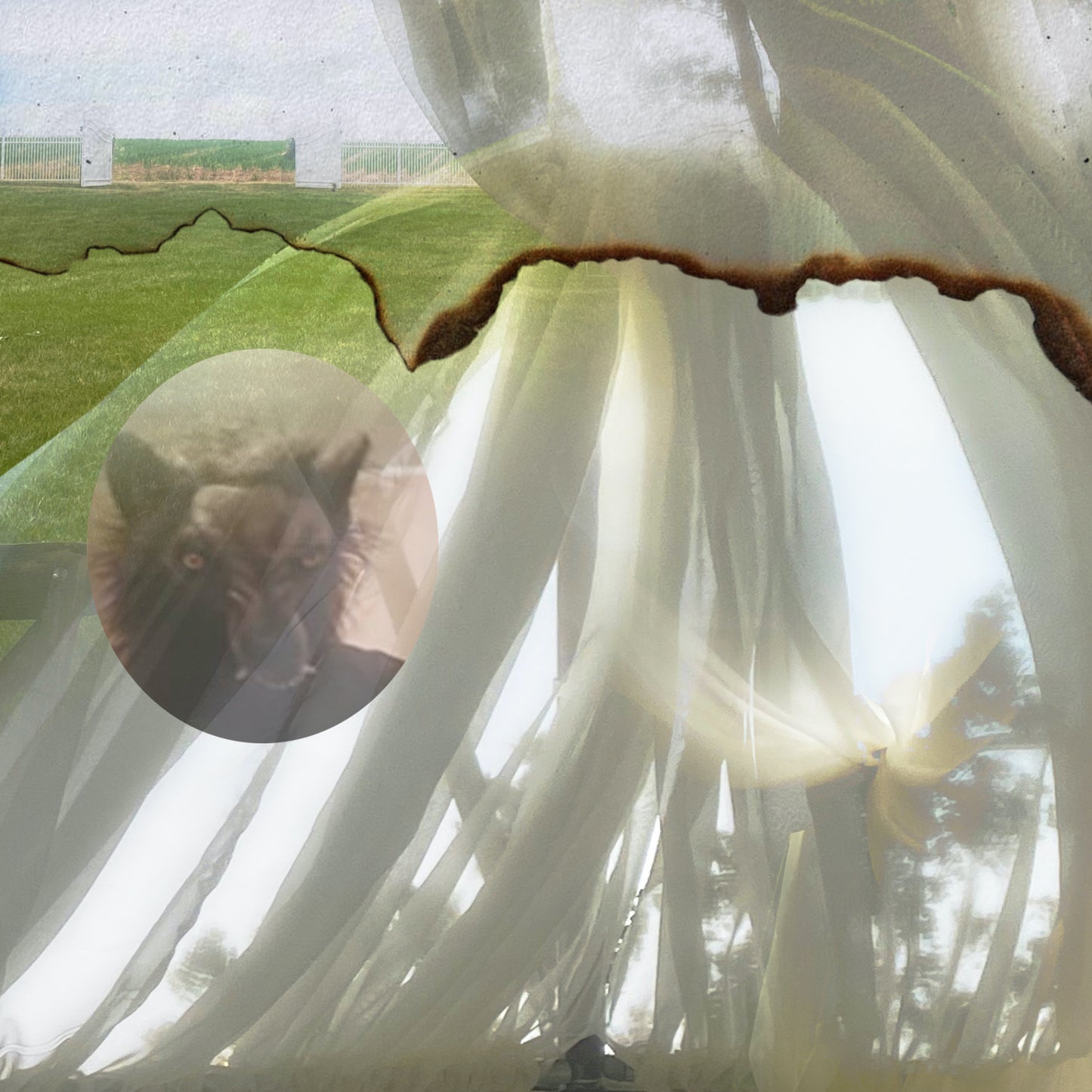 Credit Electric - six [CD]