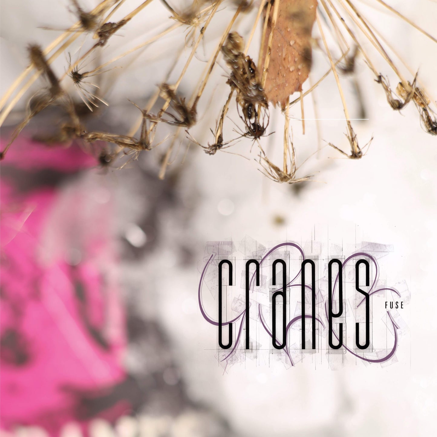 Cranes - FUSE [CD]