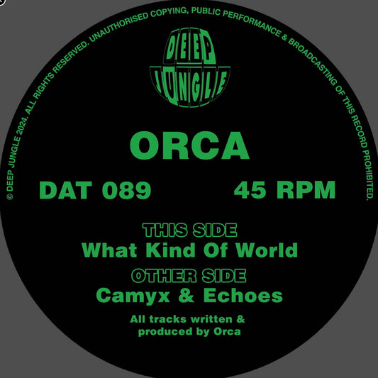Orca - What Kind of World EP