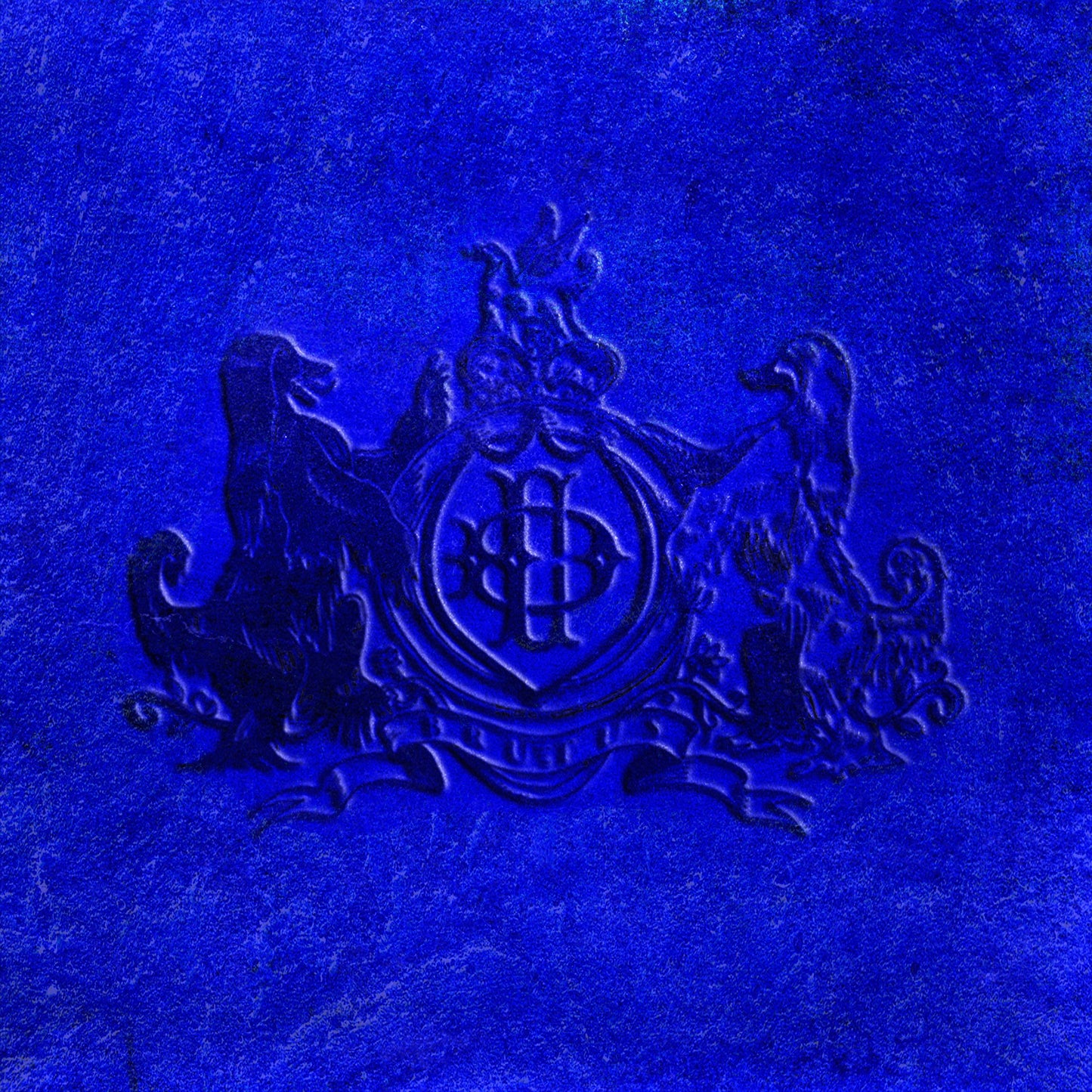 Daniel Caesar - NEVER ENOUGH [2LP Orange Vinyl]