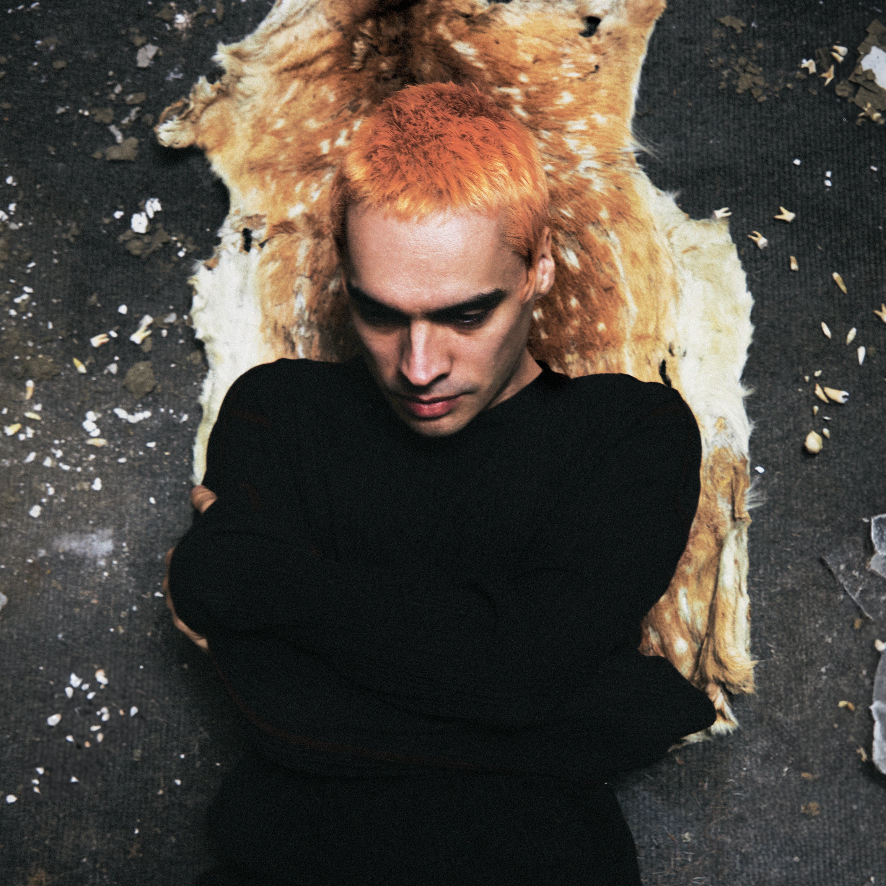 Sega Bodega - Dennis [LP] – Horizons Music