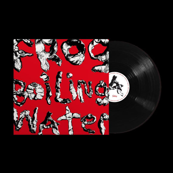 DIIV - Frog In Boiling Water [Standard Black Vinyl]