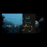Dermot Kennedy - I’ve told the trees everything [4 Track Black Vinyl EP]