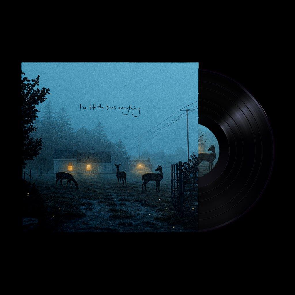 Dermot Kennedy - I’ve told the trees everything [4 Track Black Vinyl EP]