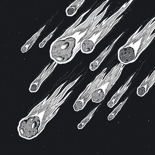 Definition - Lion, The Lion [2LP]