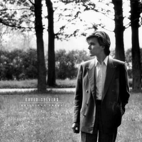 David Sylvian - Brilliant Trees [CORONA OLIVE OPAQUE BLACK]