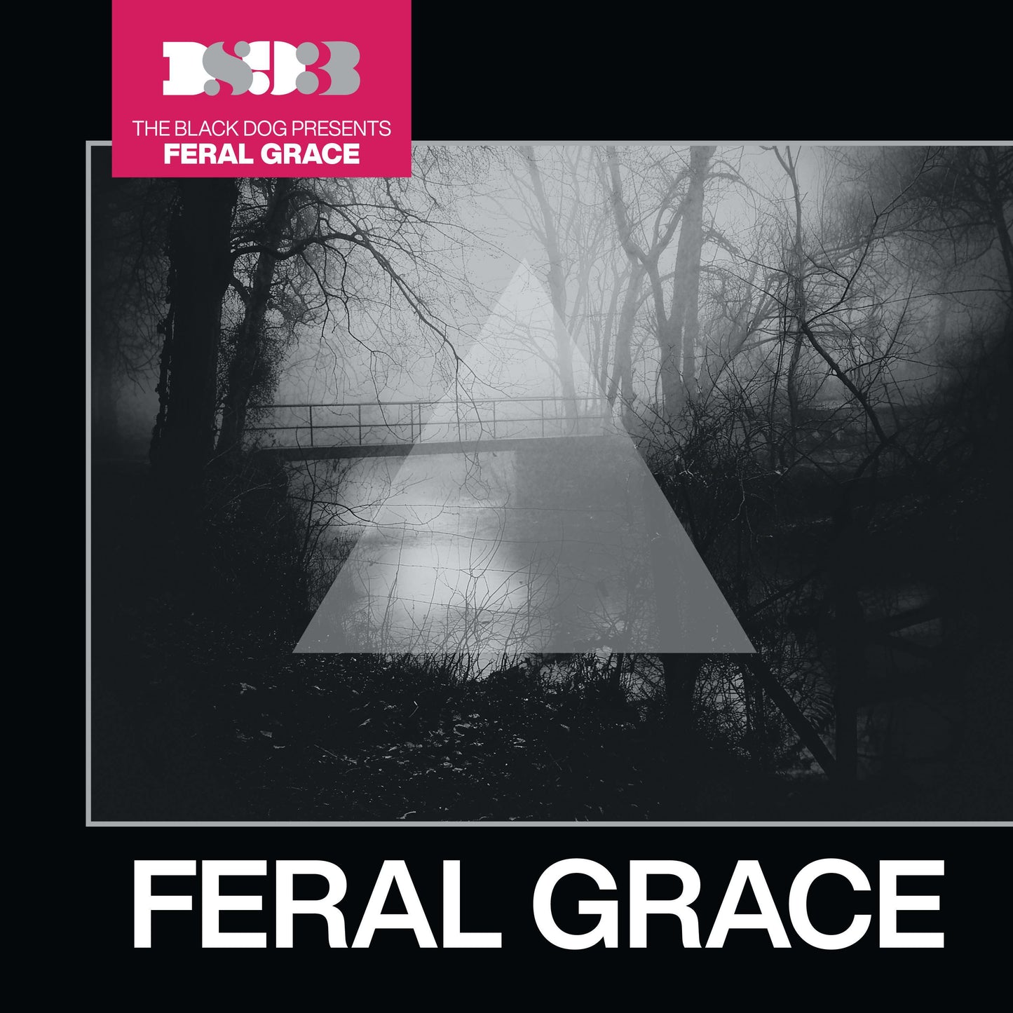 THE BLACK DOG - FERAL GRACE [CD]