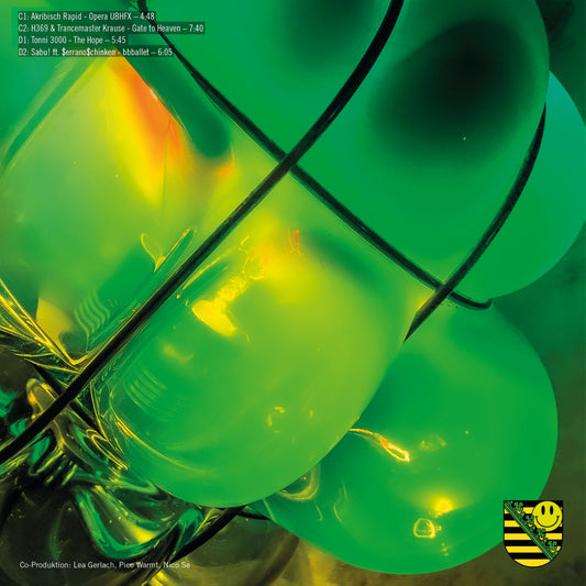 Various Artists - Sachsentrance x DURCH [2LP]