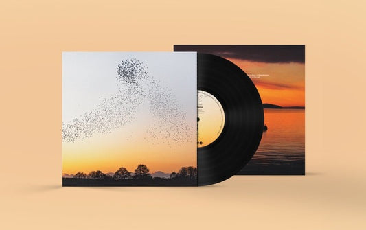 Erland Cooper - Dawn Chorus [LP]