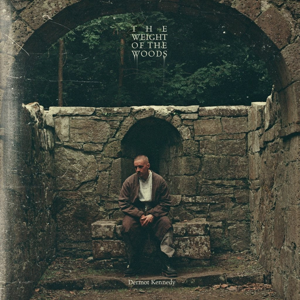 Dermot Kennedy - The Weight of the Woods [LP]