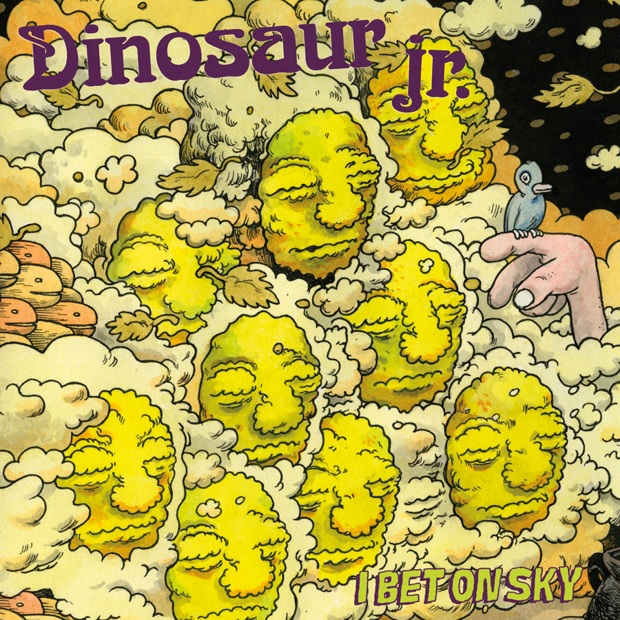 Dinosaur Jr. - I Bet On Sky [CD]