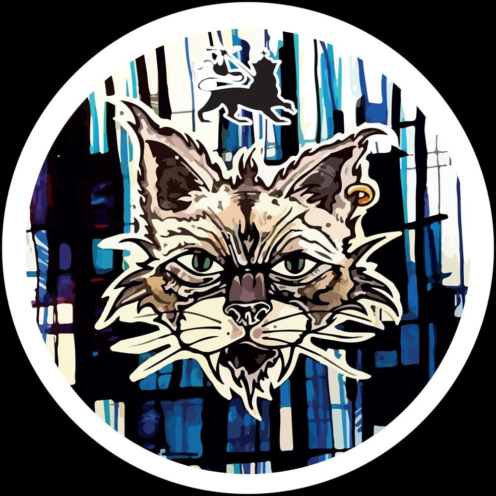 Tommy The Cat - When The Cat From The House Is