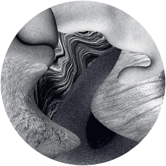 Various Artists - Music For The Wilted Generation