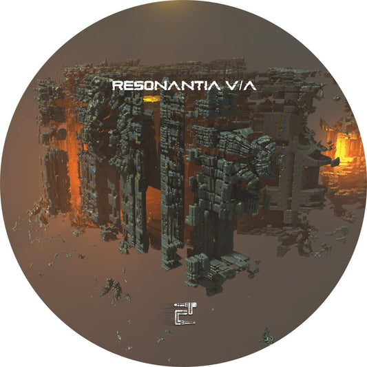 Various Artists - Resonantia V/A