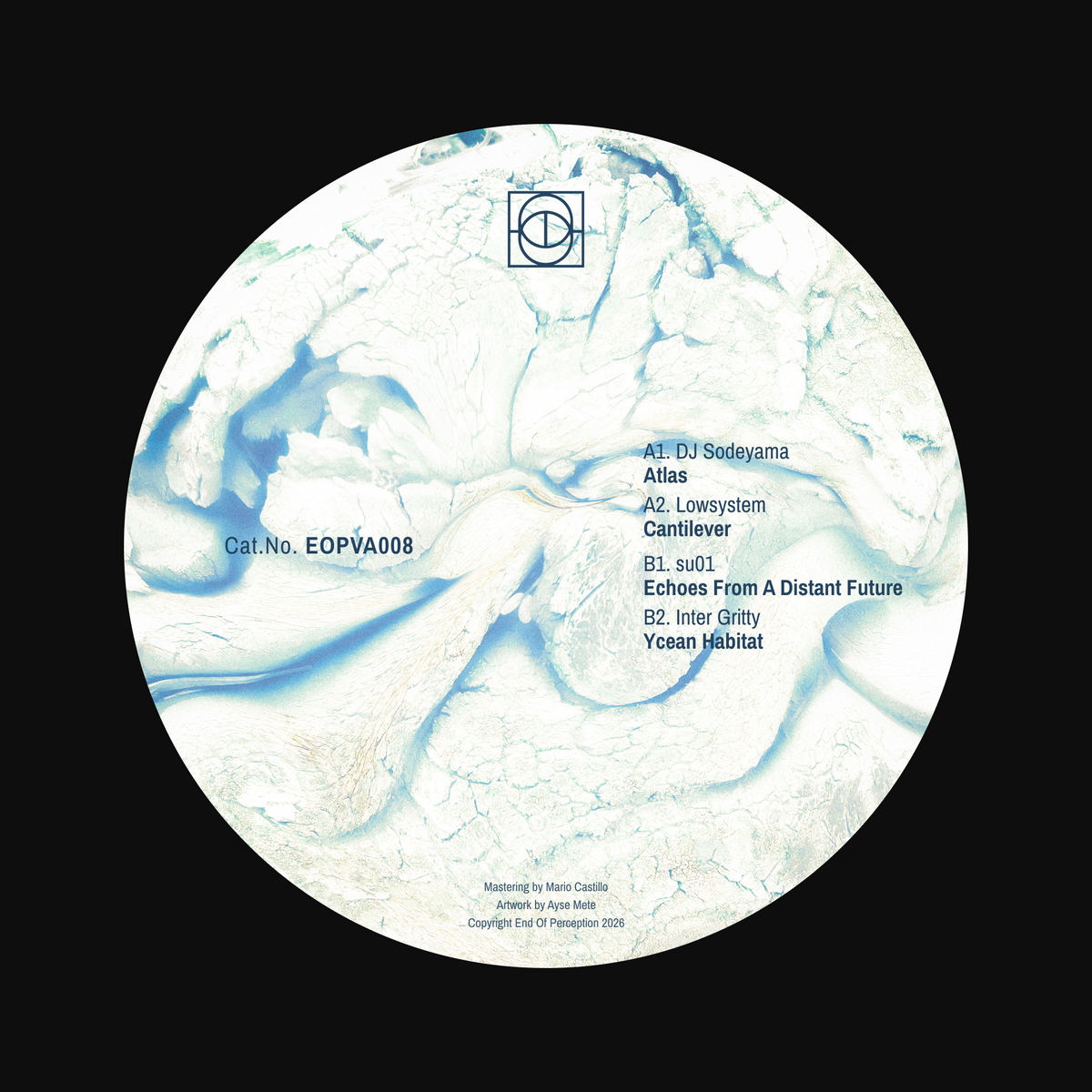 Various Artists - VVAA008