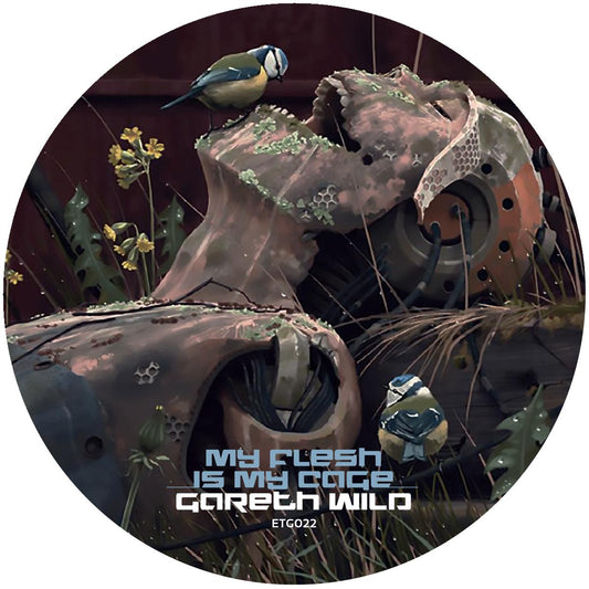 Gareth Wild - My Flesh Is My Cage [discount record]