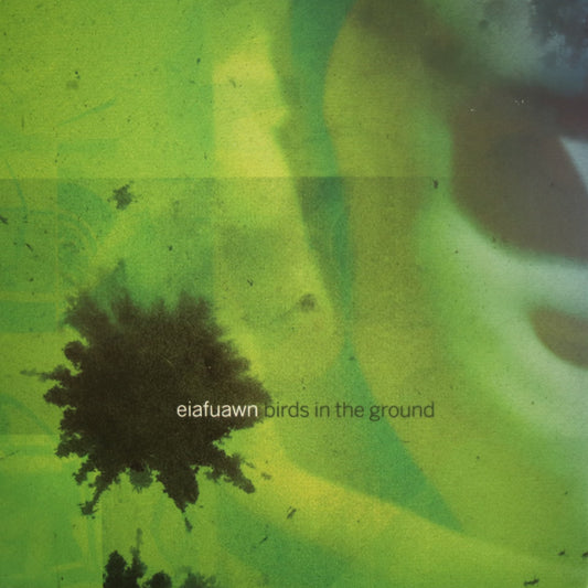 Eiafuawn - Birds In The Ground [Cassette]