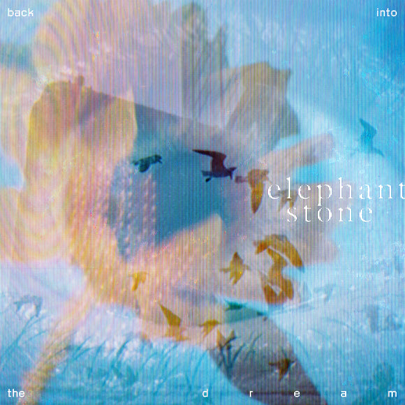 Elephant Stone - Back Into The Dream [180g ultra-clear vinyl]