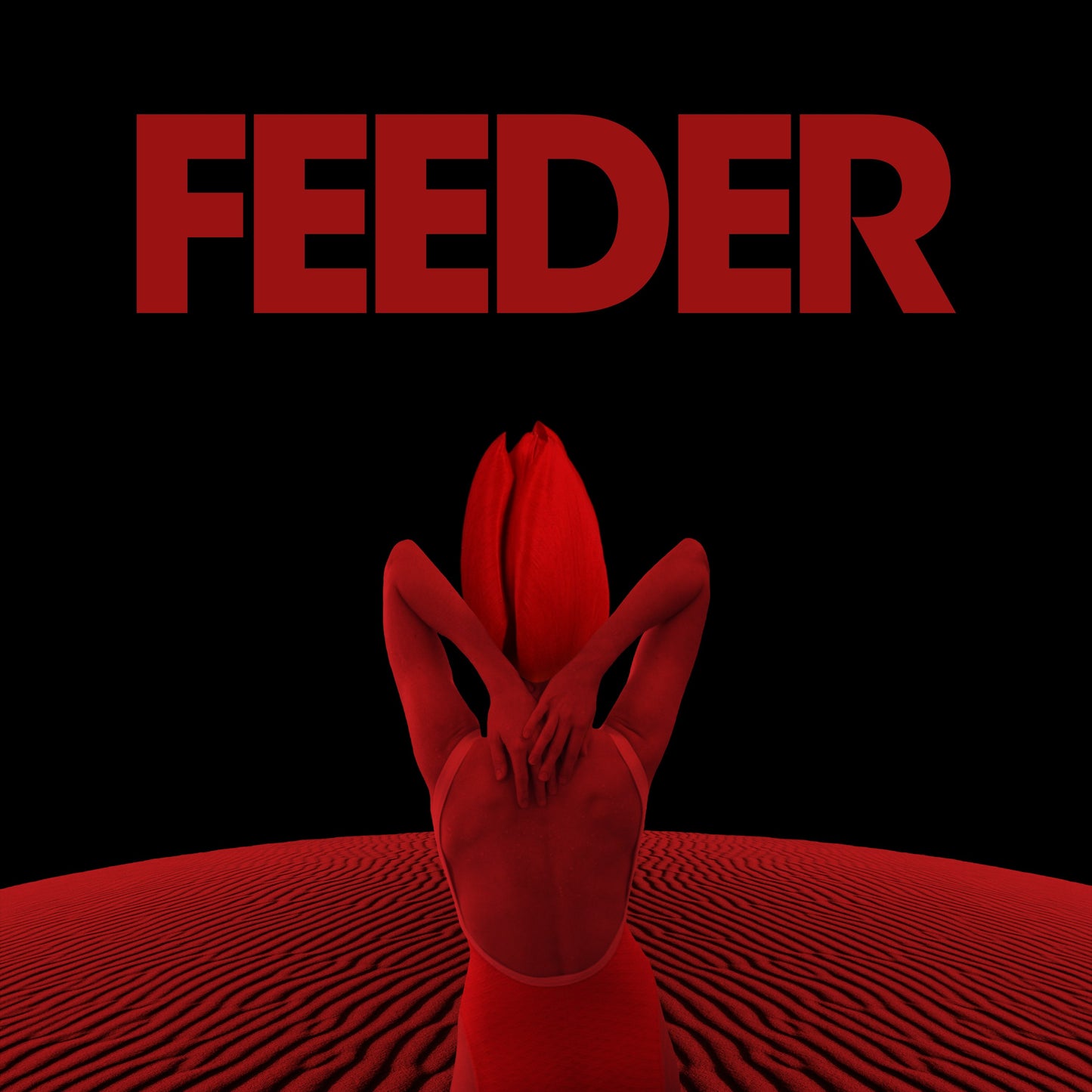 Feeder - Black / Red [Picture Disc]