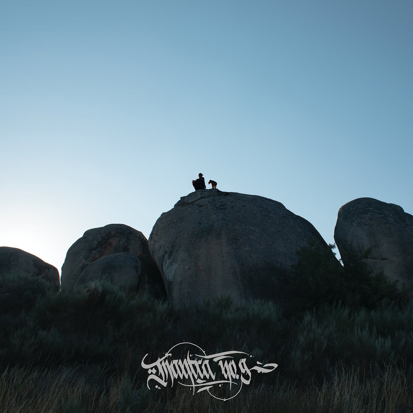 Fliptrix - Mantra No. 9 [CD]