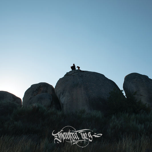 Fliptrix - Mantra No. 9 [CD]