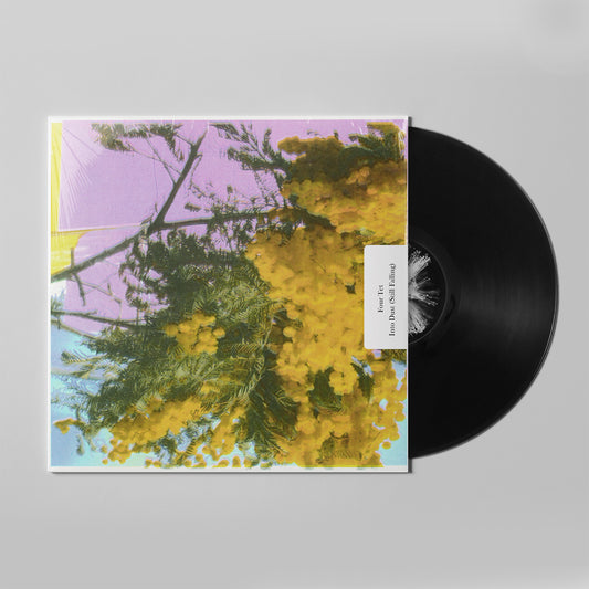 Four Tet - Into Dust (Still Falling)