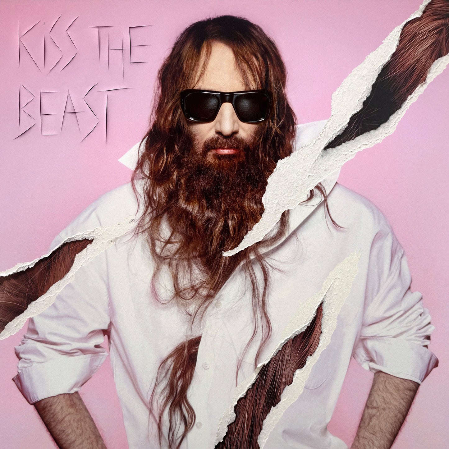 SÉBASTIEN TELLIER - Kiss the Beast  [CD]