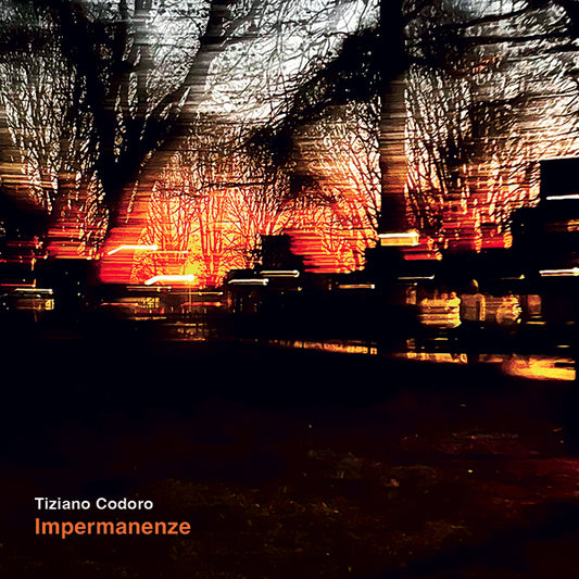 Tiziano Codoro - Impermanenze