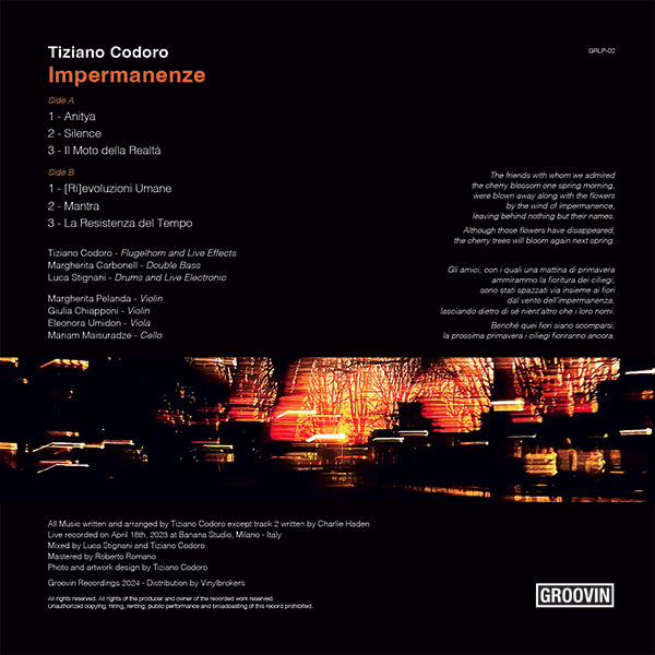 Tiziano Codoro - Impermanenze