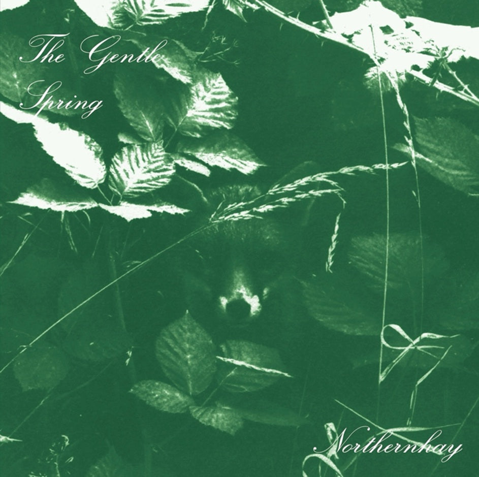The Gentle Spring - Northernhay [LP]