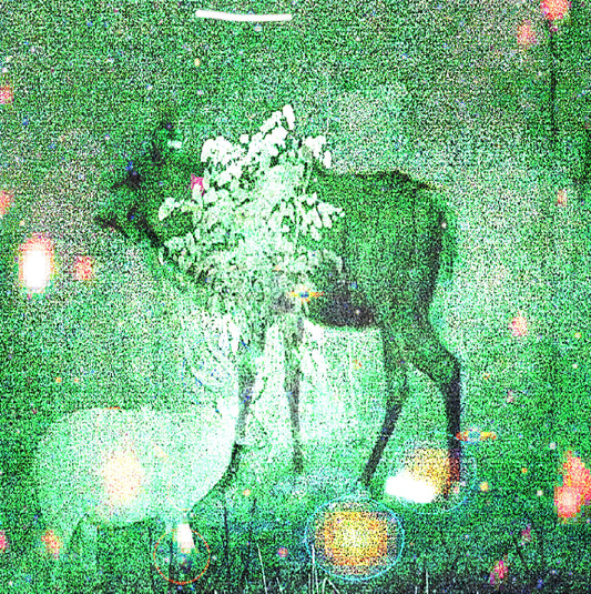 Ghost Lemurs – Wombs And Alien Spirits