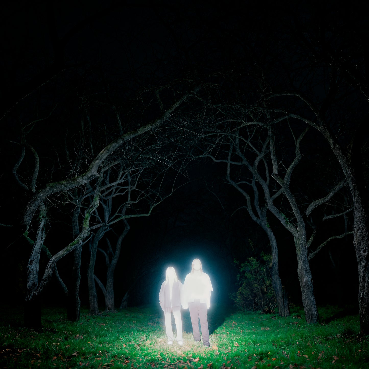 Gnoomes - Losey [Slate Grey Vinyl]