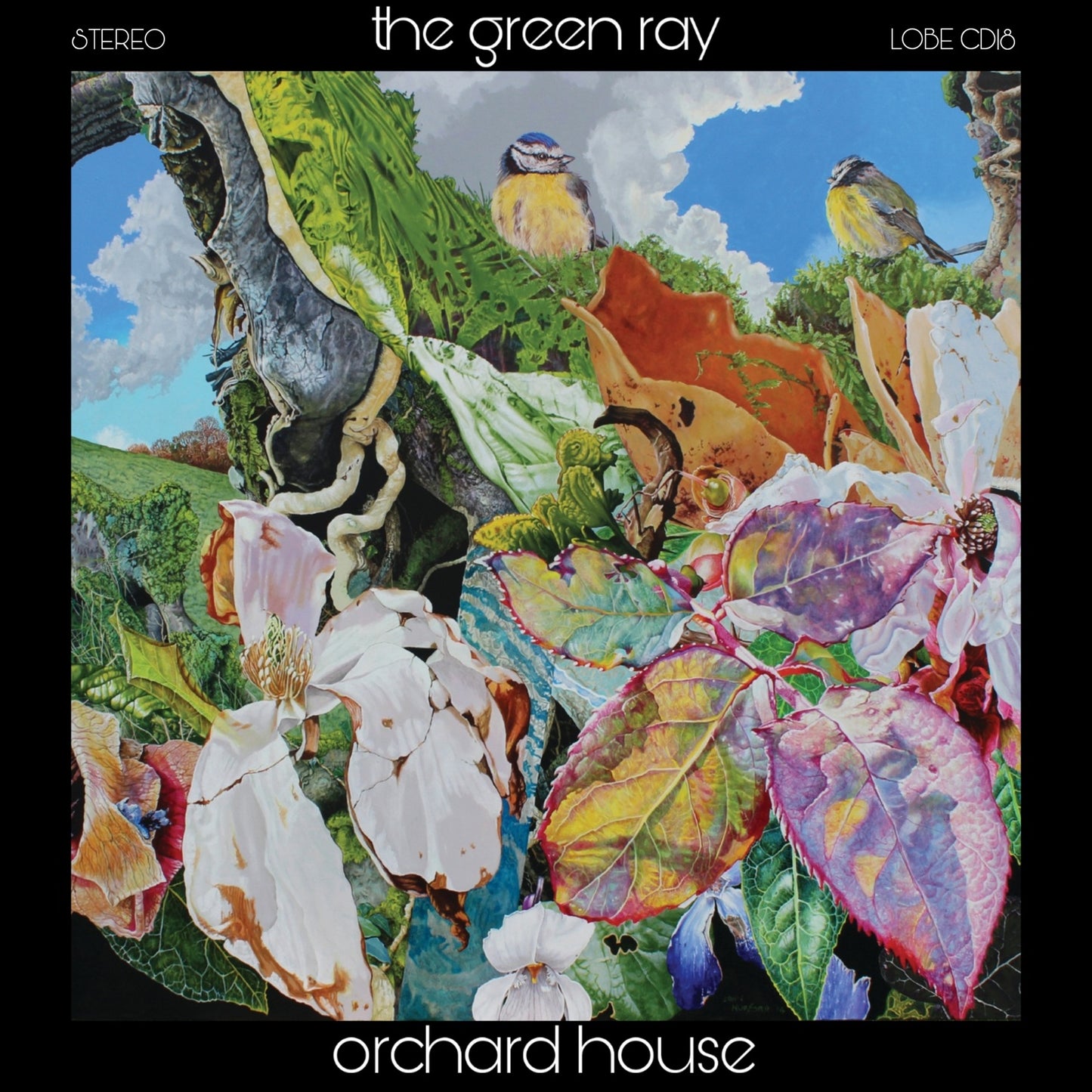 The Green Ray - Orchard House
