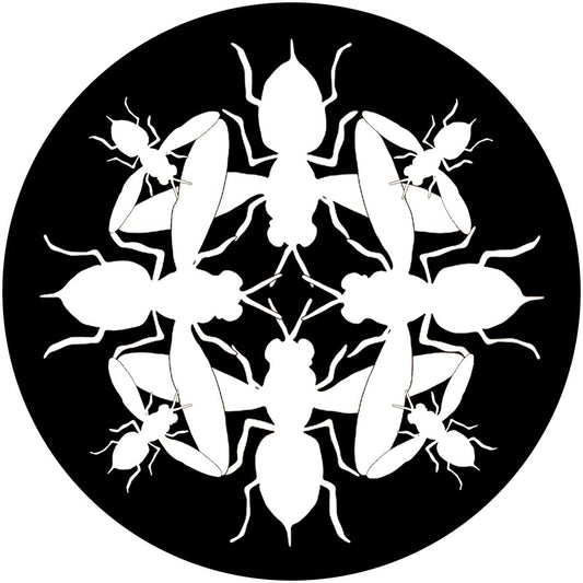 Mani Festo - Hunterr EP