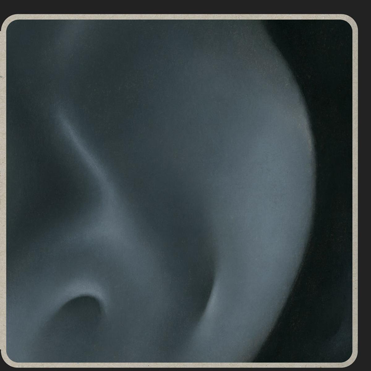 Feral - A Look Within [180 grams / printed sleeve]