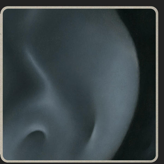 Feral - A Look Within [180 grams / printed sleeve]