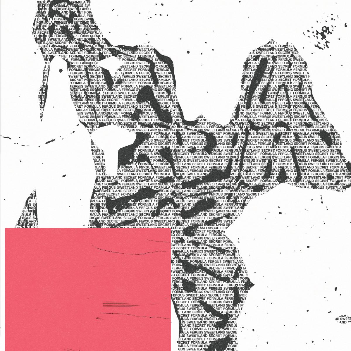 Fergus Sweetland - Secret Formula [printed sleeve]