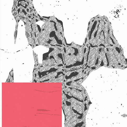 Fergus Sweetland - Secret Formula [printed sleeve]