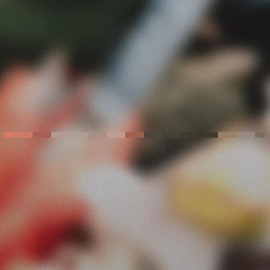 Deano - Kazoo [printed sleeve]