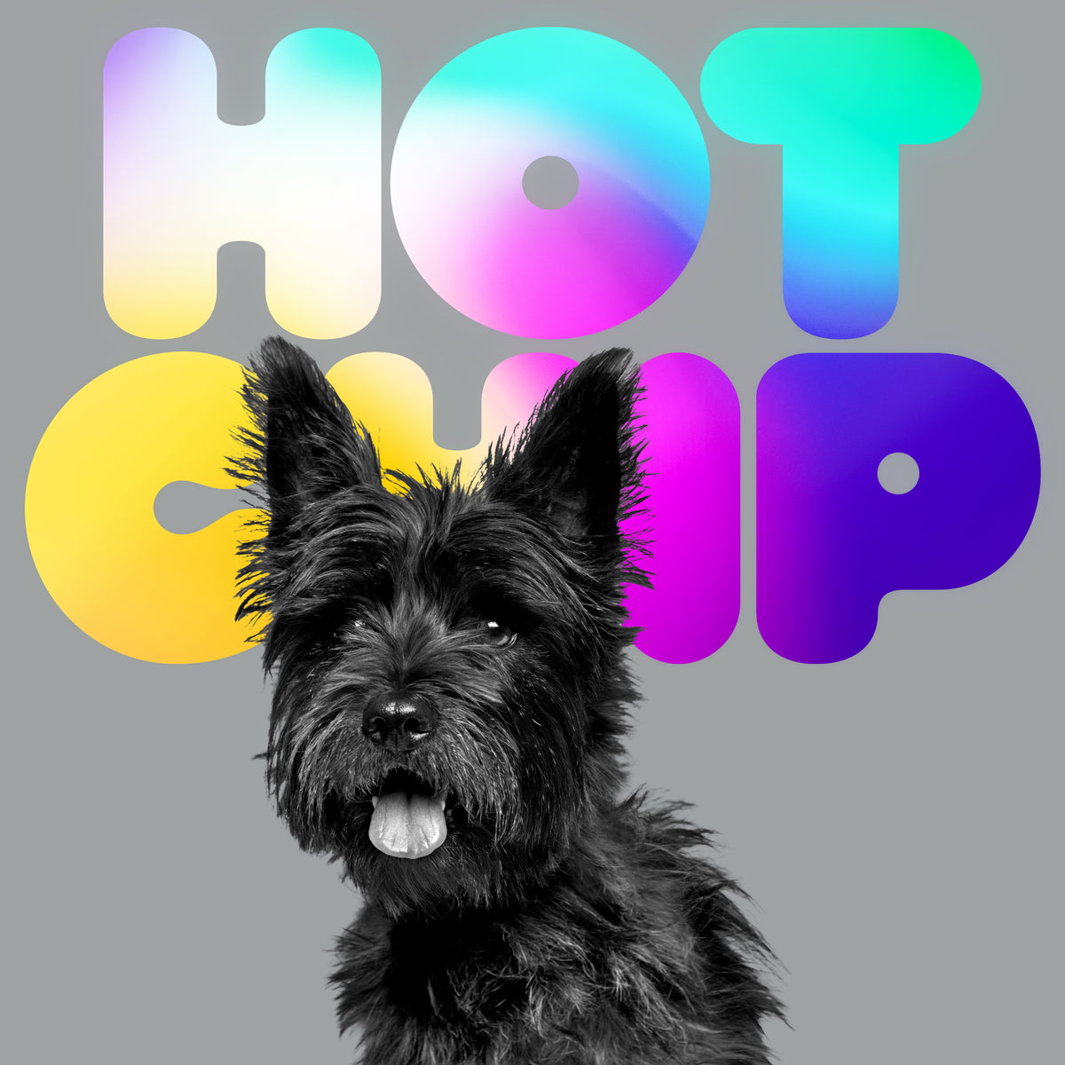 Hot Chip - A Long Way From Kansas [LP Black]