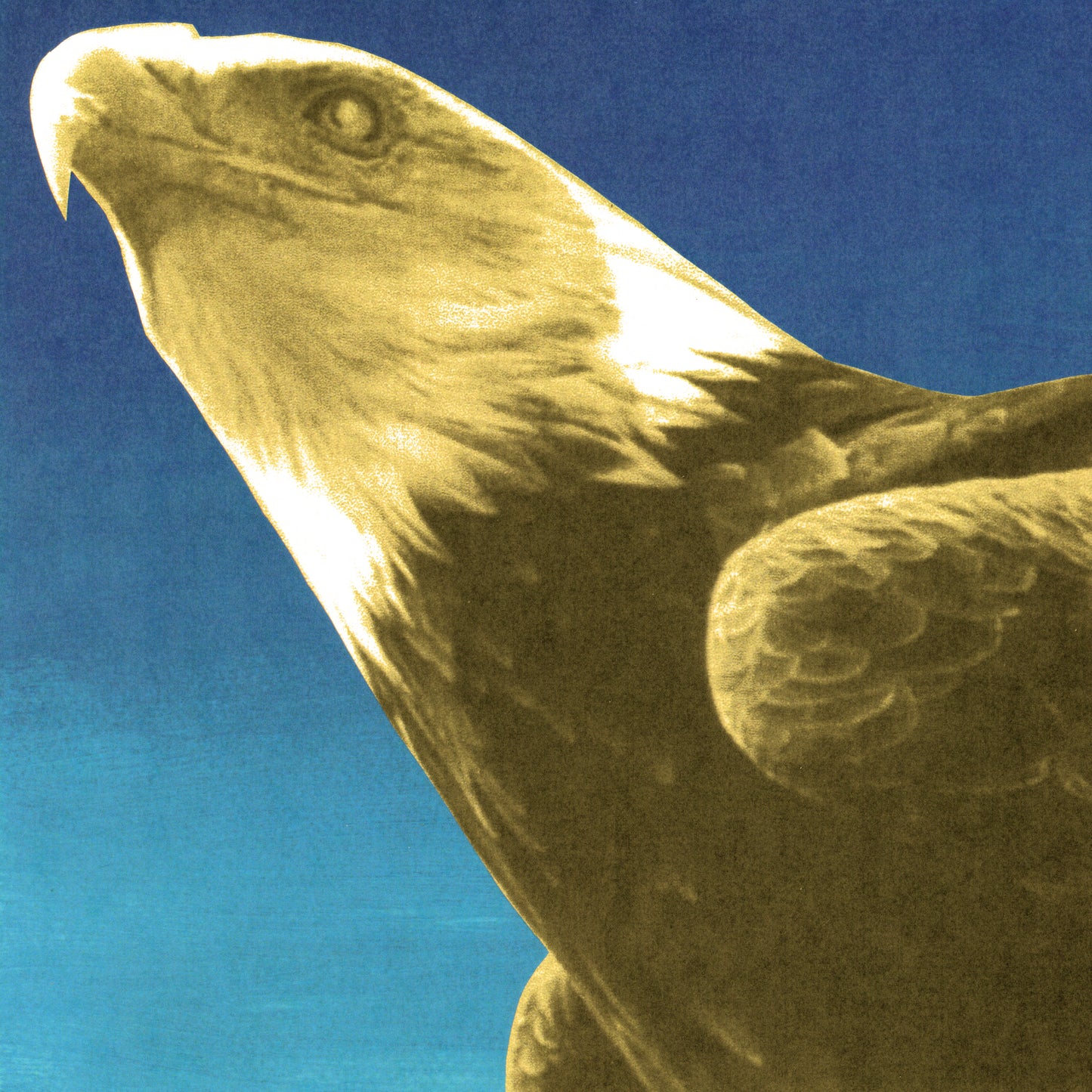 Protomartyr - Hotel Usona [LP]