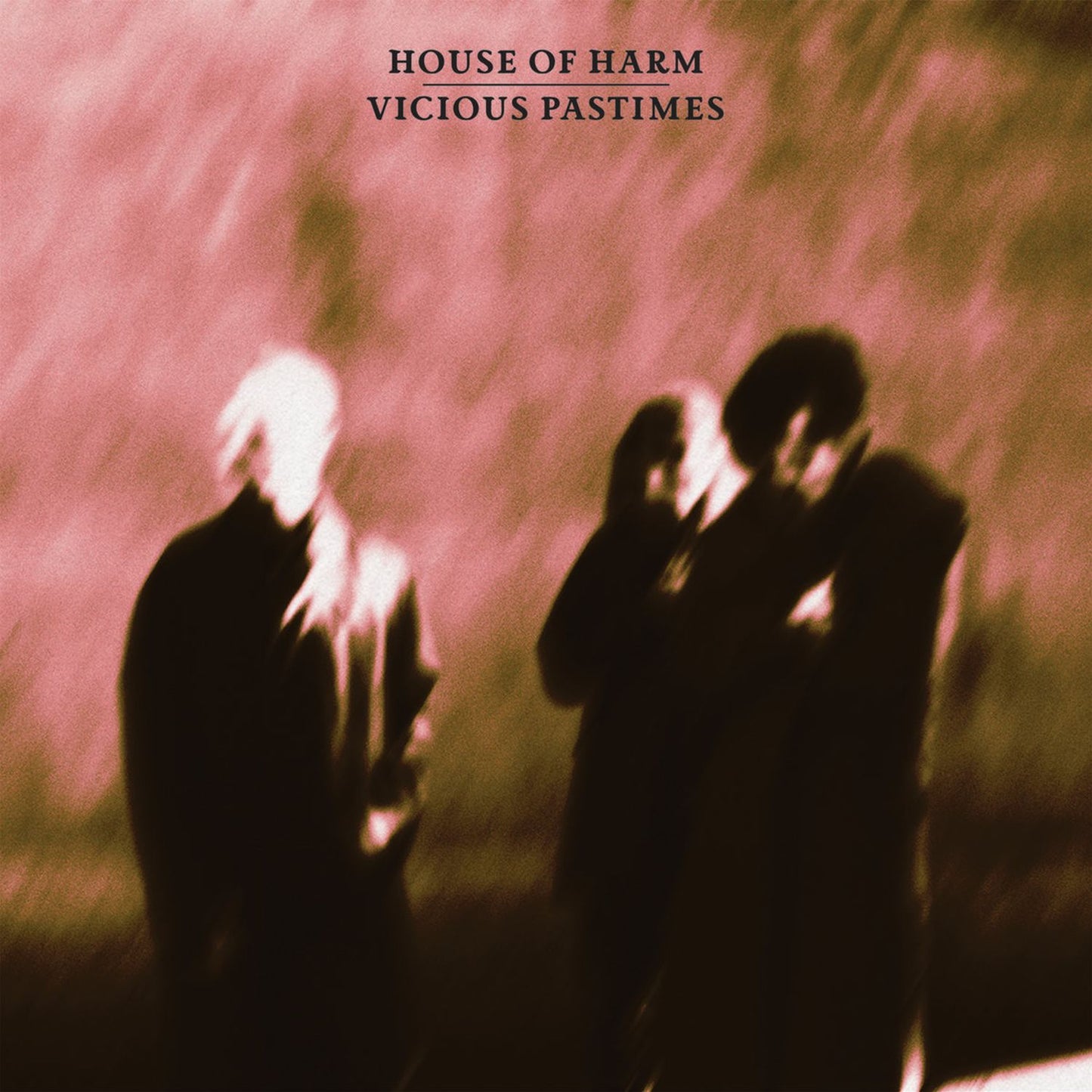 House Of Harm – Vicious Pastimes [LP Rose]